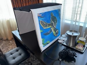 Foldable Acoustic Booth from Vocal Booth To Go: Hylander Booth